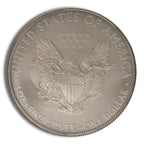 2008-W Burnished Silver Eagle with Box & COA
