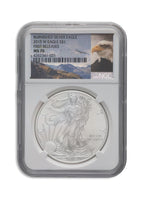 2015-W Burnished Silver Eagle NGC MS70 ER