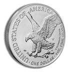 2023-W Burnished Silver Eagle with Box & COA
