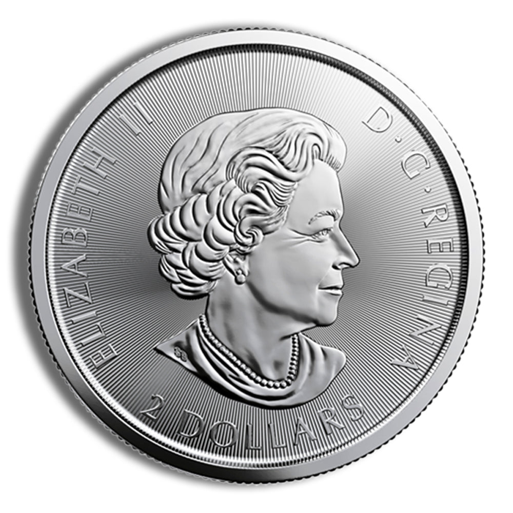 1/2 oz Canadian Red Tail Hawk Silver Coin (Year Varies)