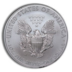 2015-W Burnished Silver Eagle with Box & COA