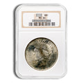 Peace Dollar - NGC MS64 (Toned)