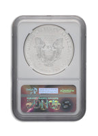 2015-W Burnished Silver Eagle NGC MS70 ER