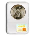 Peace Dollar - NGC MS64 (Toned)