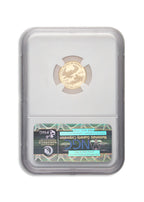 2010-W 1/10 oz Proof Gold Eagle $5 NGC PF70 ER
