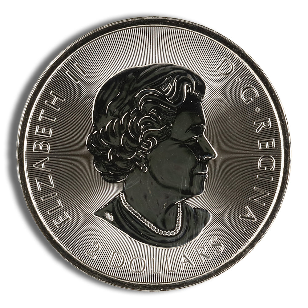 2019 1/2 oz Canadian Polar Bear Silver Coin
