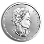 2 oz Canadian Twin Maple Leaf Silver Coin (Year Varies)