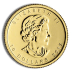 2013 1/4 oz Canadian Polar Bear Gold Coin