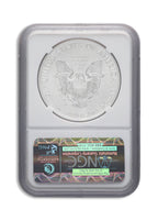 2013-W Burnished Silver Eagle NGC MS70 ER