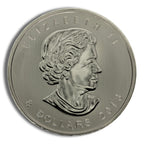 2013 1.5 oz Canadian Polar Bear Silver Coin