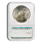 Peace Dollar - NGC MS65