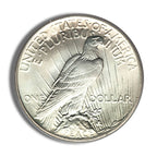 Peace Silver Dollar - Slider