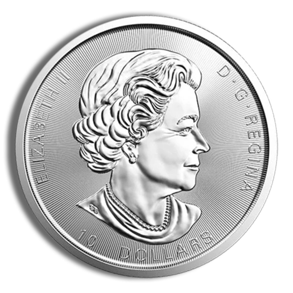 2 oz Canadian Twin Maple Leaf Silver Coin (Year Varies)
