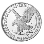 2022 Silver Eagle NGC MS70 - Brown Label